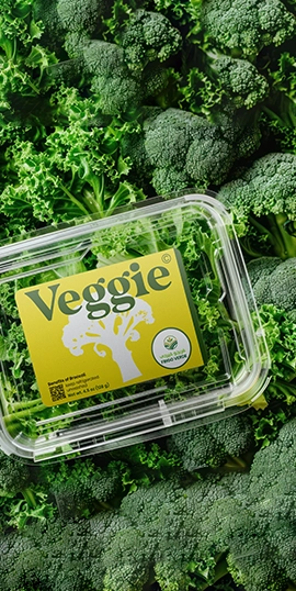 about-three-img-3 4545